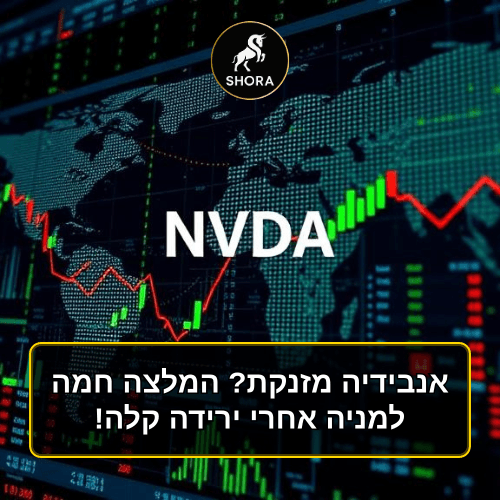 אנבידיה מזנקת? המלצה חמה למניה אחרי ירידה קלה!